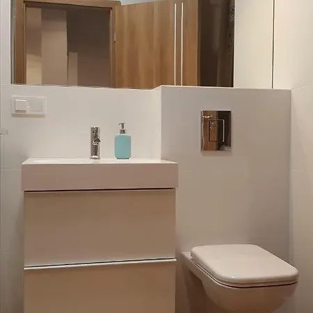 Premium Apartament Citycenter 2 - Mtp/pkp + Parking Free Poznaň